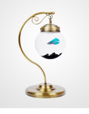 creative-aquariums-17
